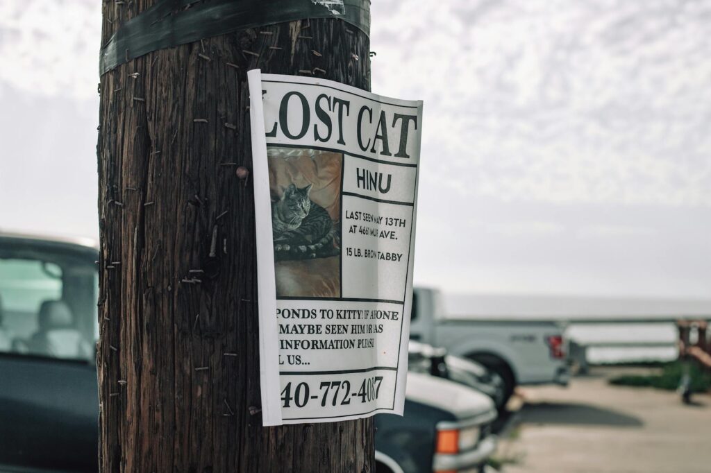 white paper signage on the tree bark