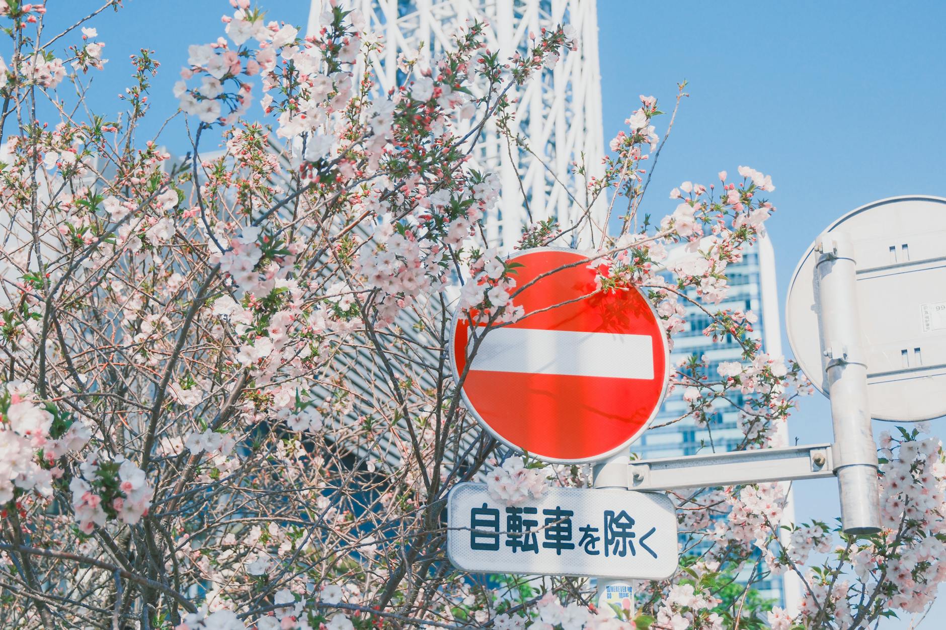帰化申請とは？そのメリットとデメリットをわかりやすく解説